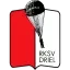 RKSV Driel JO11-1